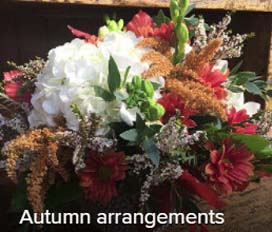 Autumn Arrangements Photo Album