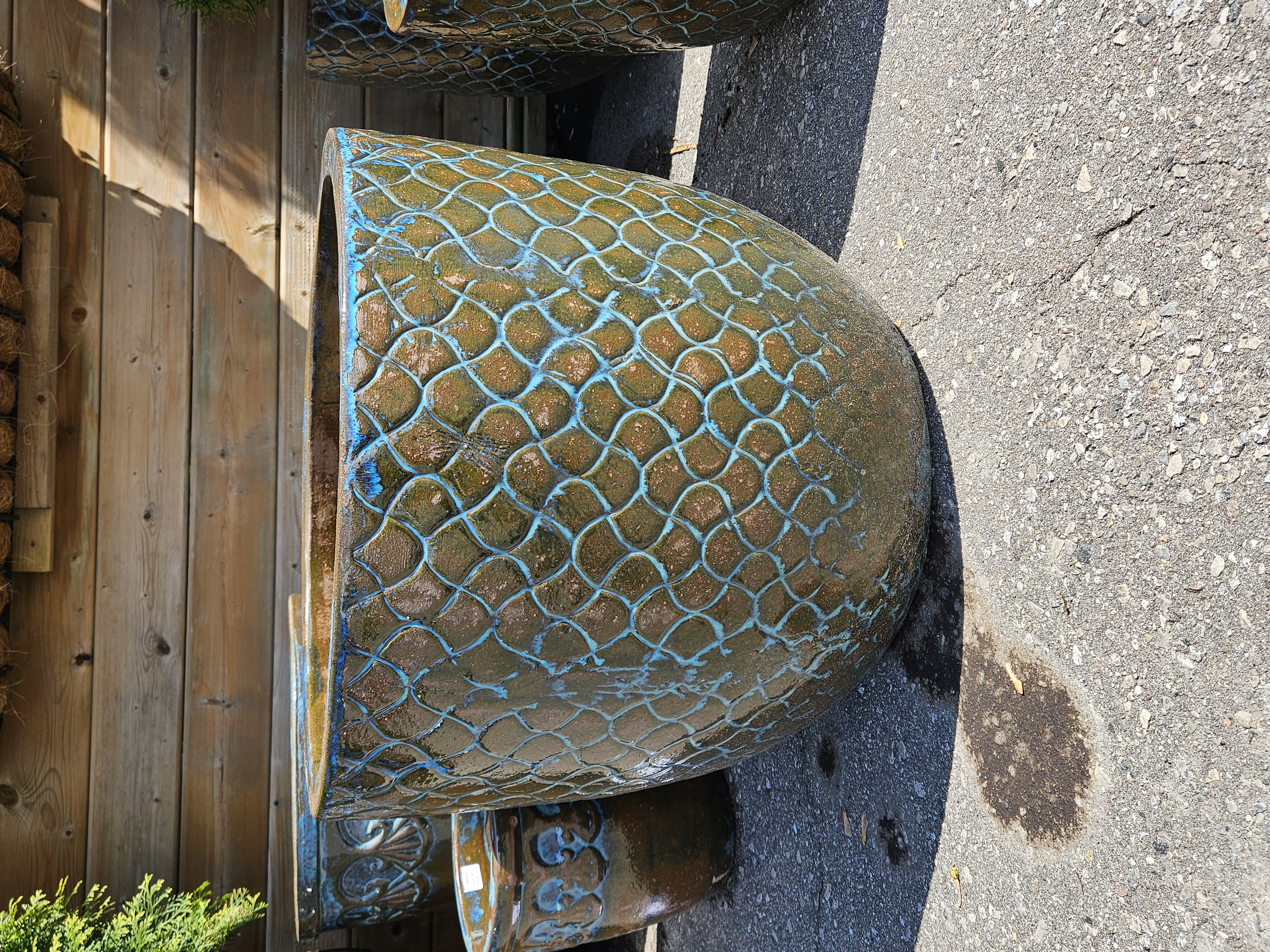 Shell Patterned pot (Small size)