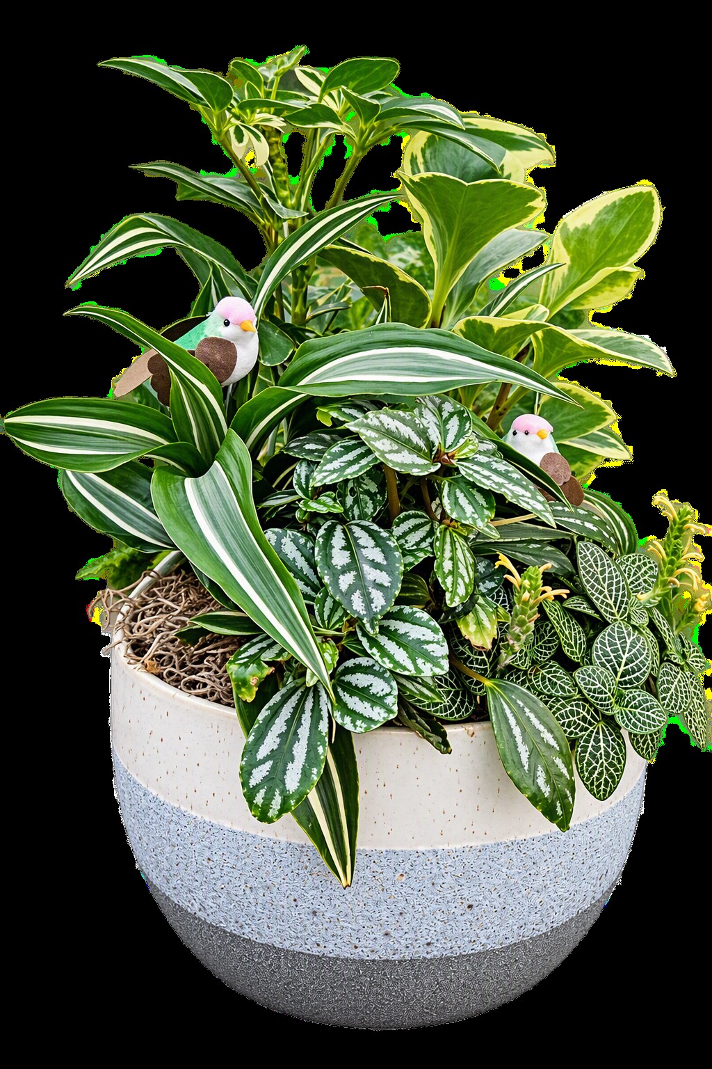 Songbird Planter