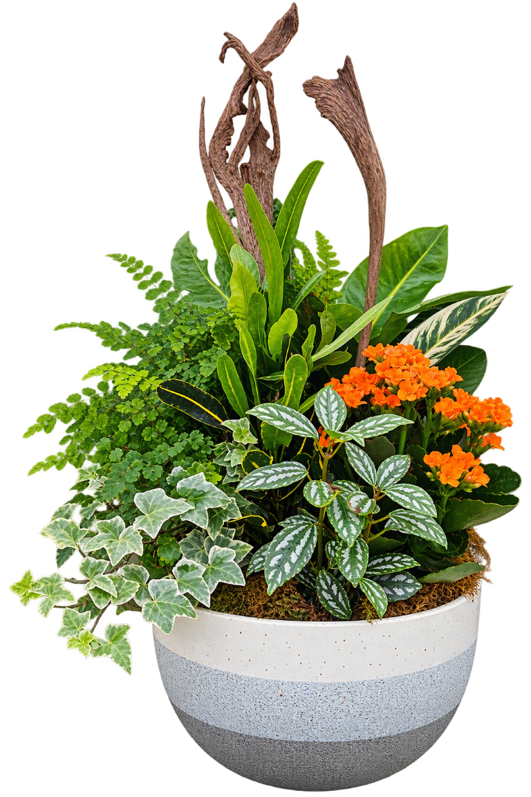 Woodland Planter